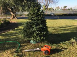 christmas tree safety